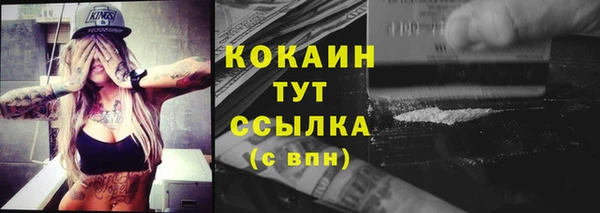 крисы Лагань
