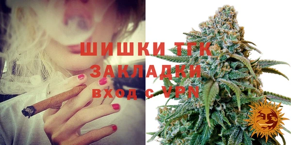 стаф Ладушкин