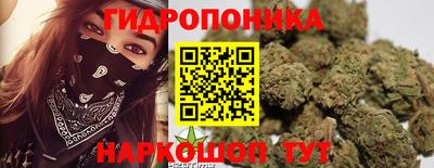 ГАЛЛЮЦИНОГЕННЫЕ ГРИБЫ Аргун