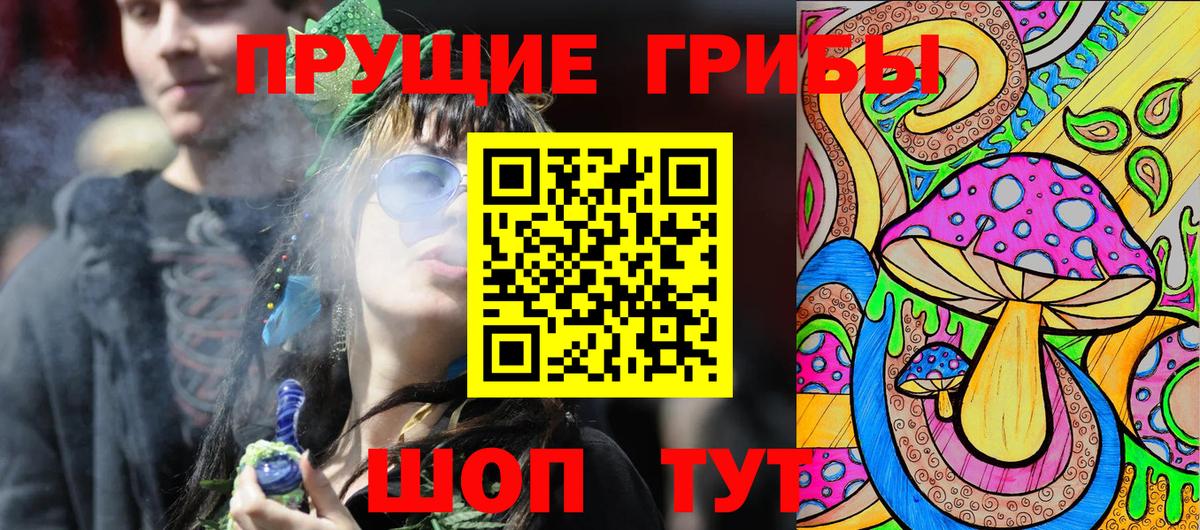 Псилоцибиновые грибы Psilocybe Михайловка