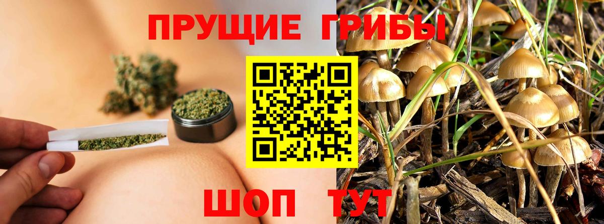 Галлюциногенные грибы прущие грибы  Галлюциногенные грибы Cubensis  Михайловка  Вход с VPN 