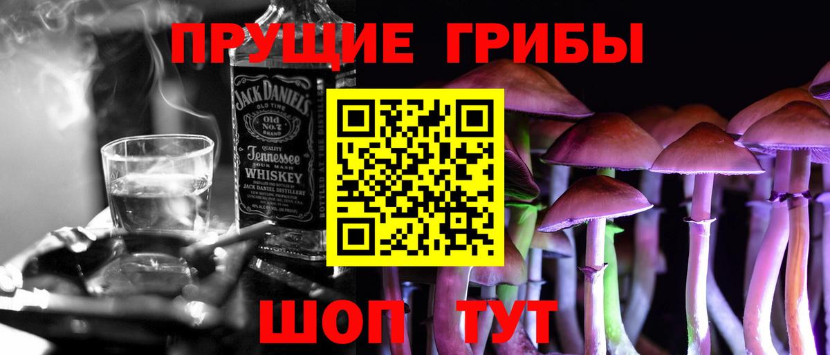 Галлюциногенные грибы Psilocybe Михайловка