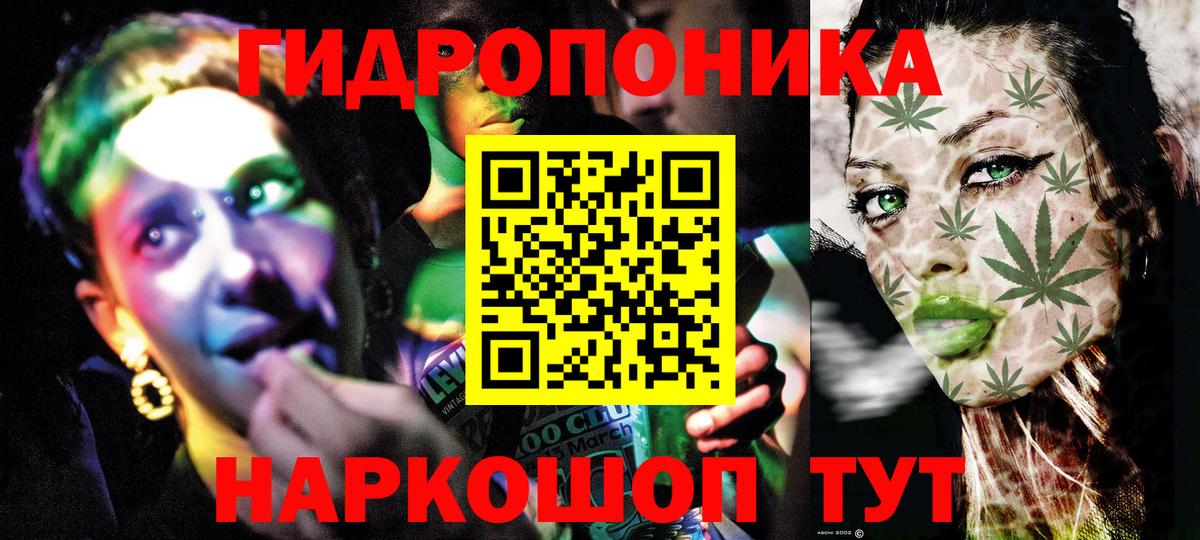 Конопля план  Шишки марихуана сатива  Михайловка  Вход с VPN 